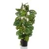 Emerald Monstera Artificiel Monkey 75 Cm En Pot -Promos Botanisia Magasin 17086429697fd8e5