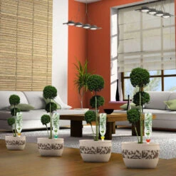 Cône D'Arrosage D'absence : Jusqu'à 25 Cm 7 Cl - S, Orange - Pack 3+1 -Promos Botanisia Magasin 177127 008