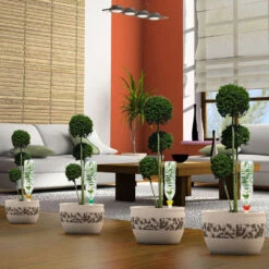 Cône D'Arrosage D'absence : 30 à 40 Cm 20 Cl - M, Vert - Pack 3+1 11 Cône D'Arrosage D'absence : 30 à 40 Cm 20 Cl - M, Vert - Pack 3+1 -Promos Botanisia Magasin 177131 008