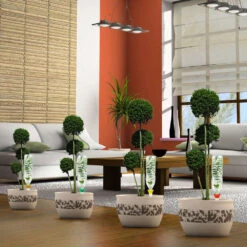 Cône D'Arrosage D'absence : 45 à 60 Cm 30 Cl : L, Jaune - Pack 3+1 9 Cône D'Arrosage D'absence : 45 à 60 Cm 30 Cl : L, Jaune - Pack 3+1 -Promos Botanisia Magasin 177135 007