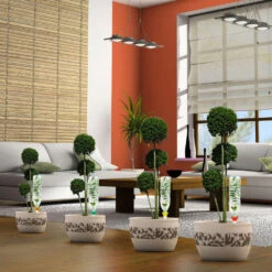 Cône D'Arrosage D'absence : Jardinière Violet - Pack 3+1 (gratuit) -Promos Botanisia Magasin 366821 006