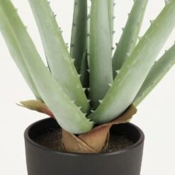 Aloe Vera Artificiel 35cm -Promos Botanisia Magasin 3a5e870da98183ae
