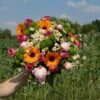 Bouquet Summer 2 Bouquet Summer -Promos Botanisia Magasin 3b2fb33120c38111