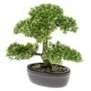 Emerald Mini Bonsaï Ficus Artificiel Vert 32 Cm 420002 2 Emerald Mini Bonsaï Ficus Artificiel Vert 32 Cm 420002 -Promos Botanisia Magasin 40f186998a9da7d1
