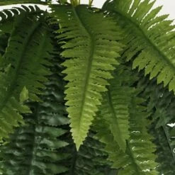 Fougère Artificiel En Bouquet 100cm -Promos Botanisia Magasin 42821312c90ce0e2