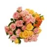 Botte De Roses Branchues - 5 Tiges : Coloris Variables -Promos Botanisia Magasin 482056 011
