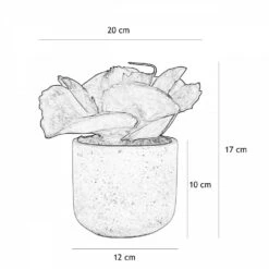 Succulente Artificielle Pot Effet Ciment 17cm -Promos Botanisia Magasin 486998e291933d12
