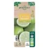 Limettier ' Mexicaine':AB Conteneur 3 Litres -Promos Botanisia Magasin 493535 006
