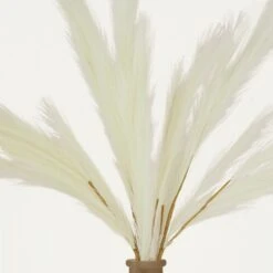 Plumeau Artificiel Crème 110cm Lot De 3 -Promos Botanisia Magasin 4cbd7840188bab6e