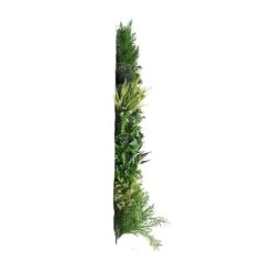 Mur Végétal Artificiel Premium City 2 - 12 Plantes - 1m X 1m -Promos Botanisia Magasin 639b1ded629b17.80014198