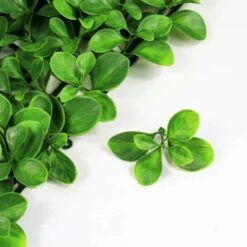 Mur Végétal Artificiel Giron Fleur - 1m X 1m -Promos Botanisia Magasin 639b1dee78aee8.77318206