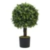 Plante Artificielle - Topiaire Buis 65cm 1 Plante Artificielle - Topiaire Buis 65cm -Promos Botanisia Magasin 639b1df22901b9.84953577