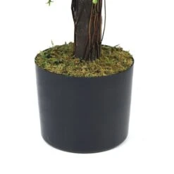 Plante Artificielle - Topiaire Buis 65cm 7 Plante Artificielle - Topiaire Buis 65cm -Promos Botanisia Magasin 639b1df23e2da2.87293551