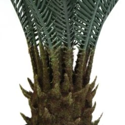 Plante Artificielle - Cycas Du Japon 80cm 9 Plante Artificielle - Cycas Du Japon 80cm -Promos Botanisia Magasin 639b1df449a0b6.23211245