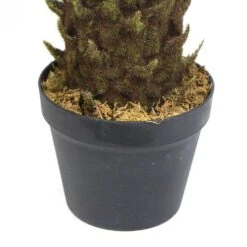 Plante Artificielle - Cycas Du Japon 80cm 10 Plante Artificielle - Cycas Du Japon 80cm -Promos Botanisia Magasin 639b1df458c1f0.19989406