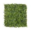 Mur Végétal Artificiel Extérieur Et Intérieur Prêt à Poser 1m X 1m Lierre -Promos Botanisia Magasin 63add93e3fa5b6.13617165