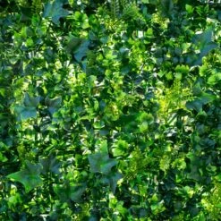 Mur Végétal Artificiel Extérieur Et Intérieur Prêt à Poser 1m X 1m Lierre -Promos Botanisia Magasin 63add93e4738f1.73564741