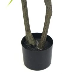 Plante Artificielle - Dracaena 150cm 7 Plante Artificielle - Dracaena 150cm -Promos Botanisia Magasin 63cbb4418d0807.95290697