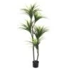 Plante Artificielle - Dracaena 150cm -Promos Botanisia Magasin 63cbb441910435.01529472