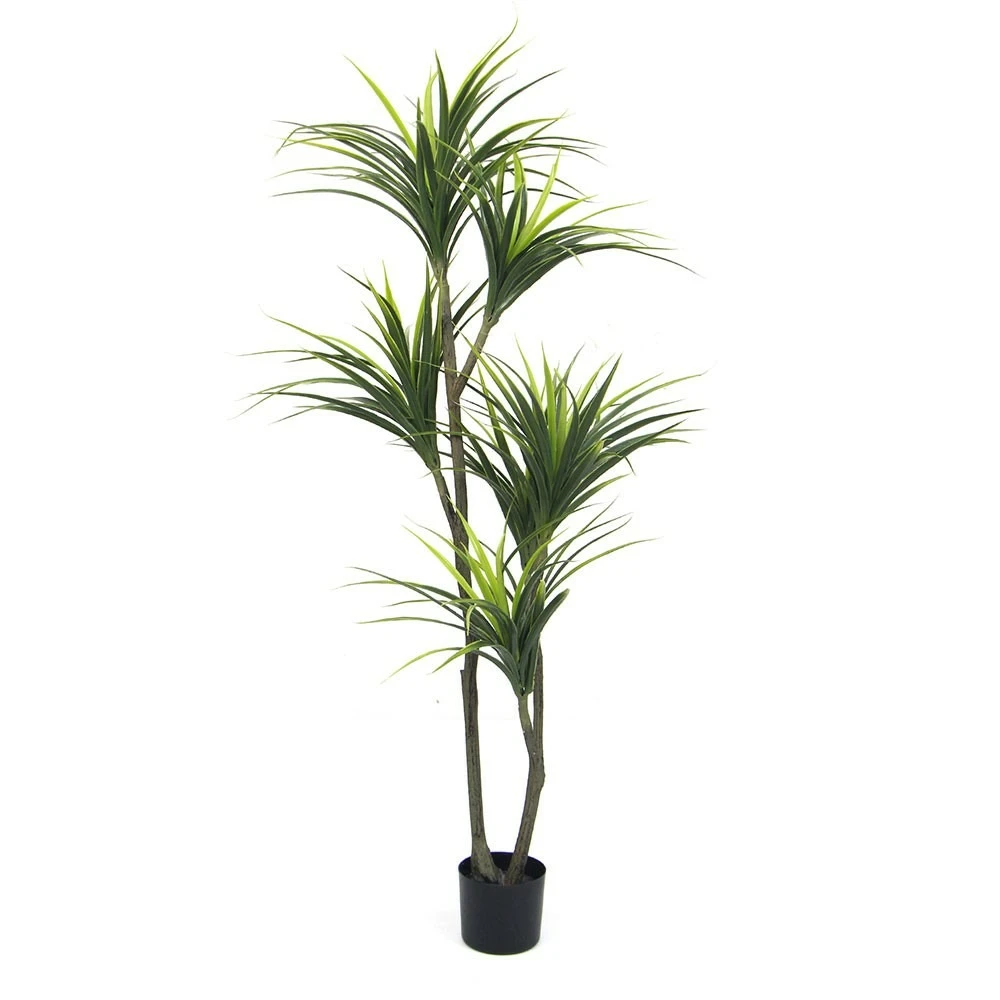 Plante Artificielle - Dracaena 150cm 3 Plante Artificielle - Dracaena 150cm