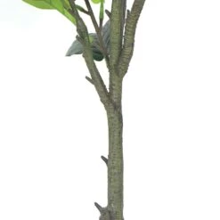 Plante Artificielle - Figuier 135cm 7 Plante Artificielle - Figuier 135cm -Promos Botanisia Magasin 63cbb442b97305.38121552
