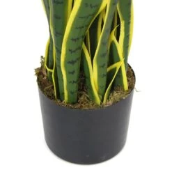 Plante Artificielle - Sanseviera Jaune 89cm -Promos Botanisia Magasin 63cbb449e3c2a8.85755282