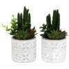 Plante Succulente Artificielle Pot En Ciment (lot De 2) 1 Plante Succulente Artificielle Pot En Ciment (lot De 2) -Promos Botanisia Magasin 63dd4fb24ade63.19650527