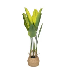 ATMOSPHERA Plante Artificielle Strelitzia En Pot H 120 Cm