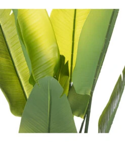 ATMOSPHERA Plante Artificielle Strelitzia En Pot H 120 Cm 6 ATMOSPHERA Plante Artificielle Strelitzia En Pot H 120 Cm -Promos Botanisia Magasin 63eb35d13eeed9.60093003