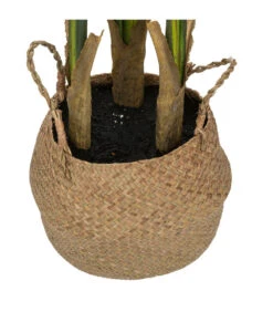 ATMOSPHERA Plante Artificielle Strelitzia En Pot H 120 Cm 7 ATMOSPHERA Plante Artificielle Strelitzia En Pot H 120 Cm -Promos Botanisia Magasin 63eb35d14b1dd9.95368097