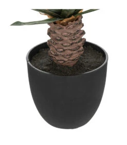 ATMOSPHERA Plante Artificielle Palmier En Pot H 52 Cm -Promos Botanisia Magasin 63eb35d3655c21.88613580