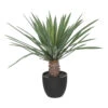 ATMOSPHERA Plante Artificielle Palmier En Pot H 52 Cm -Promos Botanisia Magasin 63eb35d3696d19.29136033