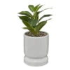 ATMOSPHERA Plante Verte Artificielle Pot En Céramique H 30 Cm -Promos Botanisia Magasin 63eb35daa6bdd3.49934052