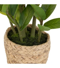 ATMOSPHERA Plante Artificielle Zamio En Pot H 41 Cm -Promos Botanisia Magasin 63eb35dbddde12.31611138