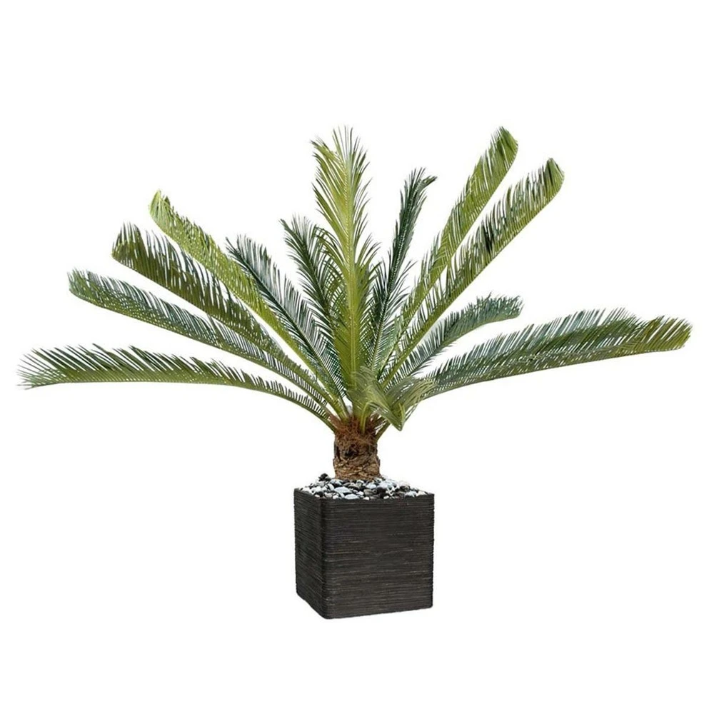 Palmier Cycas Artificiel En Pot H 100 Cm Vert - Choisissez Votre Hauteur: H 100 3 Palmier Cycas Artificiel En Pot H 100 Cm Vert - Choisissez Votre Hauteur: H 100