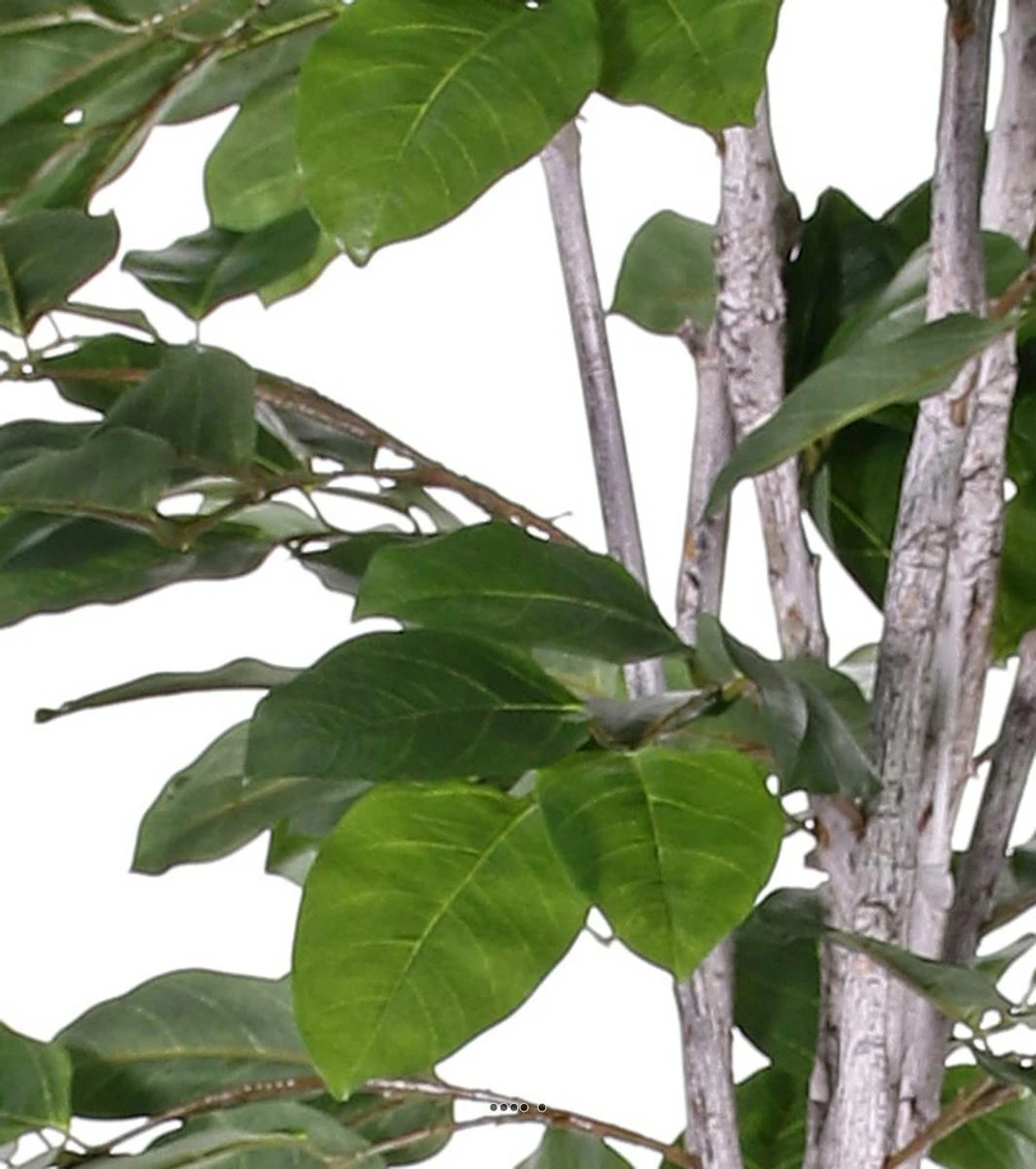 Figuier Des Banyans Artificiel 180 Cm 4 Figuier Des Banyans Artificiel 180 Cm – Image 2