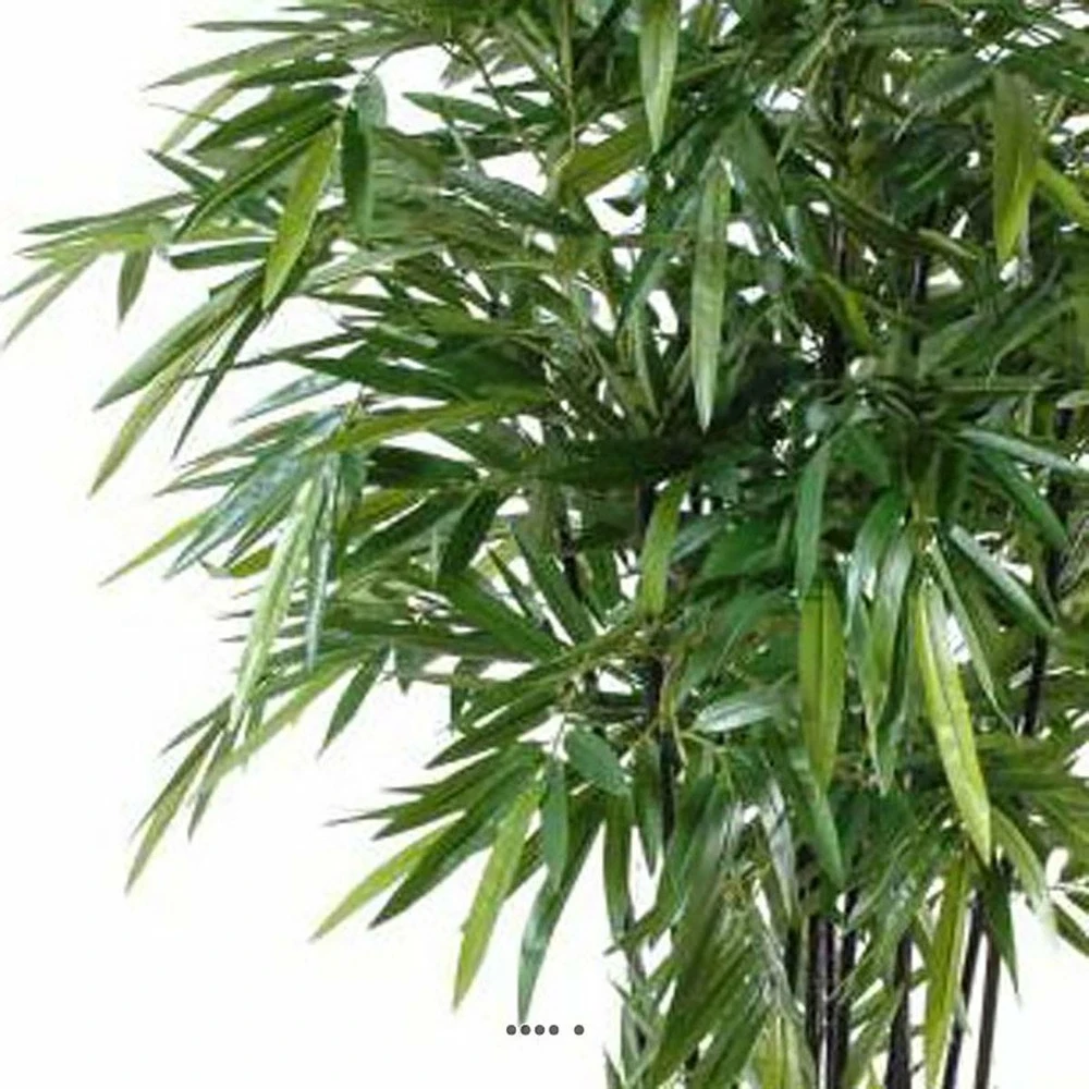 Bambou Artificiel à Cannes Noires Effet Zen H 180 Cm - Choisissez Votre Hauteur: 4 Bambou Artificiel à Cannes Noires Effet Zen H 180 Cm - Choisissez Votre Hauteur: – Image 2