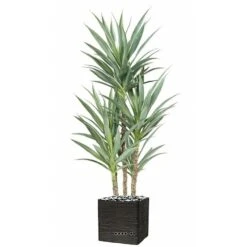 Yucca Artificiel Multitroncs En Pot H 150 Cm Feuillage Plastique -Promos Botanisia Magasin 63f6081fa3cfc8.05259854
