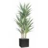 Yucca Artificiel Multitroncs En Pot H 150 Cm Feuillage Plastique 1 Yucca Artificiel Multitroncs En Pot H 150 Cm Feuillage Plastique -Promos Botanisia Magasin 63f6081fb03857.84796987