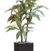 Dracaena Artificiel 3 Têtes H 90 Cm En Pot Vert-jaune -Promos Botanisia Magasin 63f608277db9f1.81268139