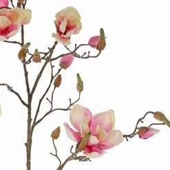 Branche De Magnolia Artificiel 4 Fleurs 22 Boutons H 107 Cm Rose Pâle - Couleur: -Promos Botanisia Magasin 63f60829182764.73474808