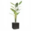 Palmier Arbre Du Voyageur Artificiel H 220 Cm En Pot 14 Feuilles -Promos Botanisia Magasin 63fa513f624853.04844827