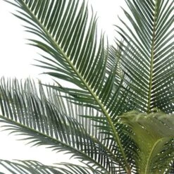 Palmier Cycas Artificiel En Pot H 50 Cm Vert - Choisissez Votre Hauteur: H 50 Cm -Promos Botanisia Magasin 63fa5142a15859.96036681