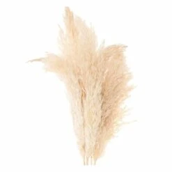 6 Herbes De Palma Séchées Naturelles -Promos Botanisia Magasin 64258467cf48a9.13929074