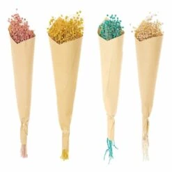 24 Tiges De Lin Séché Multicolores 70 Cm