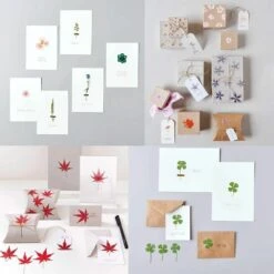 6 Sets De Feuilles/ Fleurs Séchées Et Pressées -Promos Botanisia Magasin 6425846d3b8cc9.86737615