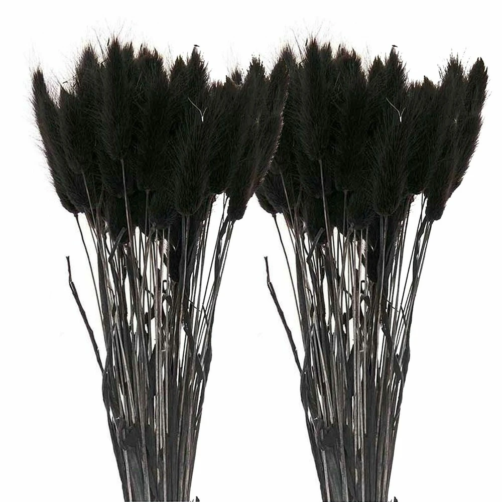 12 Tiges De Lagurus Séchés Noirs - 45 Cm 3 12 Tiges De Lagurus Séchés Noirs - 45 Cm