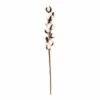 Branches De Coton Séché 10 Fleurs - 70 Cm 2 Branches De Coton Séché 10 Fleurs - 70 Cm -Promos Botanisia Magasin 64258478c7bc66.09251778