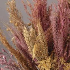 Assortiment De Fleurs Séchées -Promos Botanisia Magasin 6425847a202a54.72738169