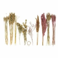 Assortiment De Fleurs Séchées -Promos Botanisia Magasin 6425847a28e7c1.91892144